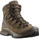Черевики Salomon QUEST 4D GTX Forces 2 EN, Brown, EU 40