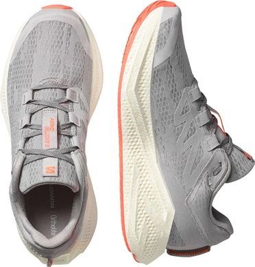 Кросівки Salomon Outdoor AERO GLIDE, Shadow Grey, EU 40
