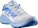 Жіночі Кросівки Salomon ALPHAGLIDE, White/Blue, EU 36