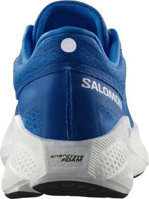 Кросівки Salomon outdoor AERO GLIDE 3, Blue, EU 40