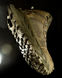 Черевики Pentagon Gravity Trekking, Coyote, 41