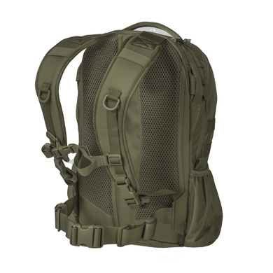 Рюкзак тактический Helikon-Tex Raider Backpack 20L Olive PL-RID-CD-02 Viktailor