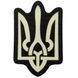 Шеврон Герб світлонакопичувальний Laser Cut 25160166 Viktailor