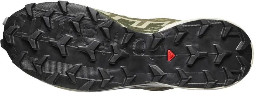 Кросівки Salomon SPEEDCROSS 6 GTX, Beige, EU 46