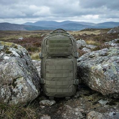 Рюкзак тактичний M-Tac Assault Pack 20L 10332001 Viktailor