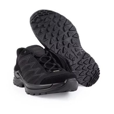 Кросівки LOWA Innox PRO GTX Lo TF, Black, EU 51
