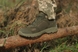Демисезонные кроссовки тактические Vik-tailor Patriot со вставками кордуры Olive, 40 (265 мм)